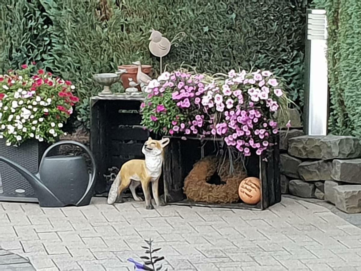 Dachgeschoss35 Lägenhet Witten Exteriör bild